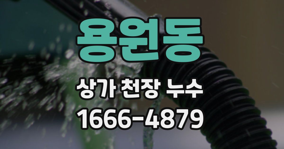 용원동 상가 천장 누수