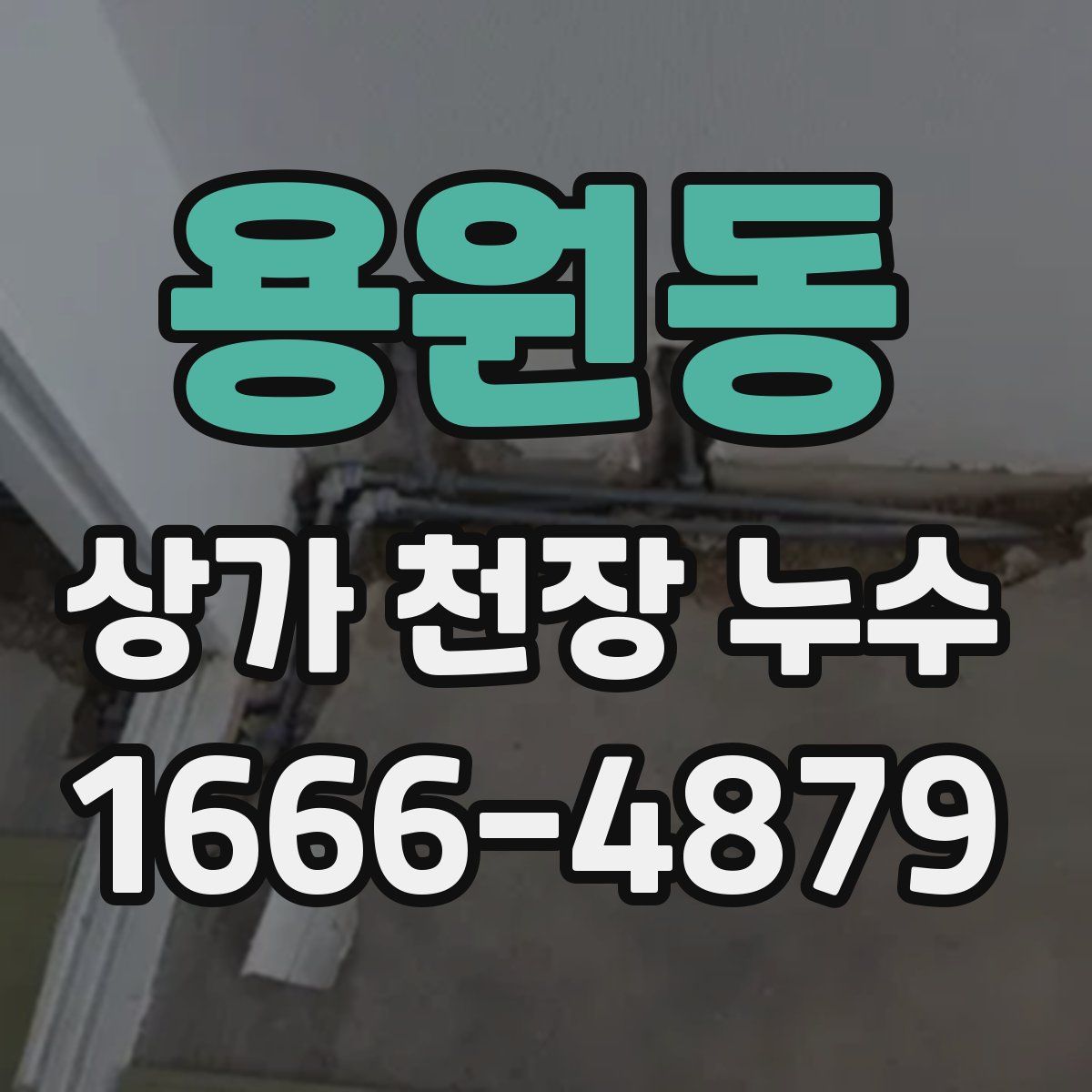 용원동 상가 천장 누수