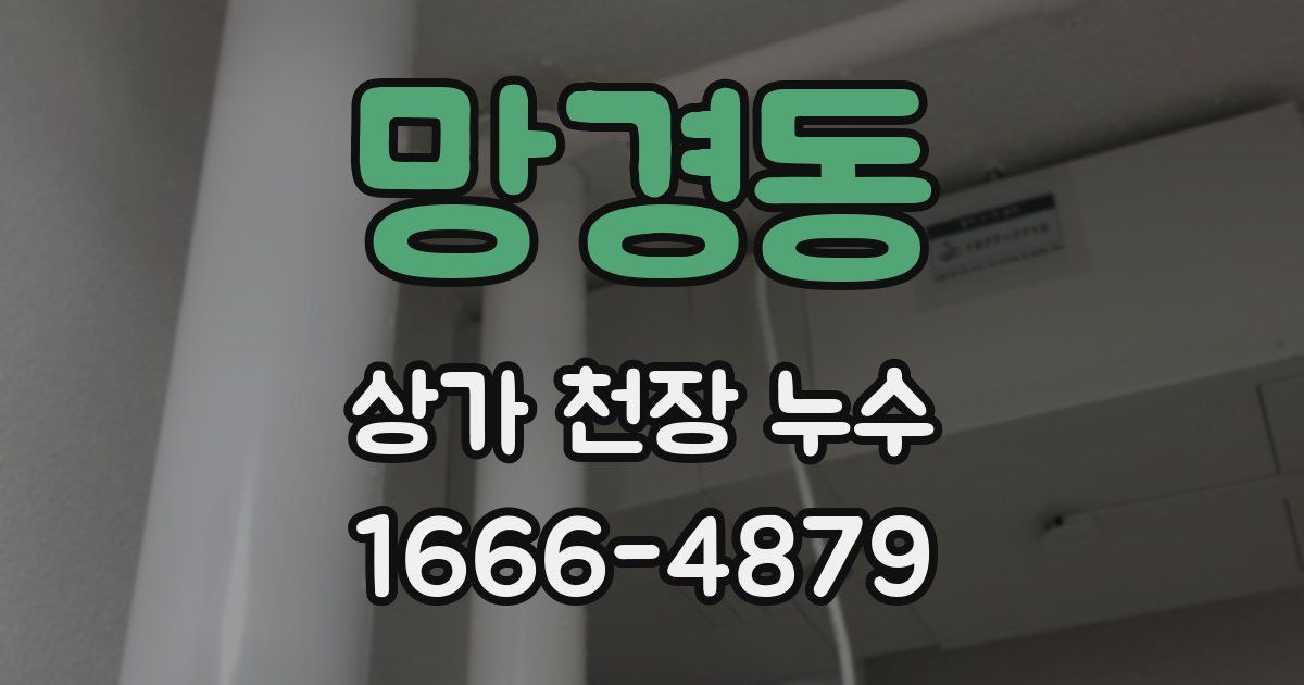 망경동 상가 천장 누수