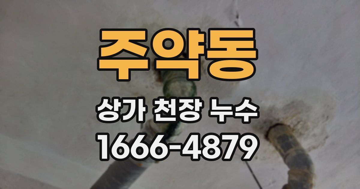 주약동 상가 천장 누수