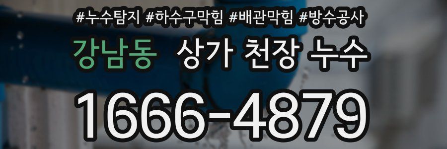 강남동 상가 천장 누수