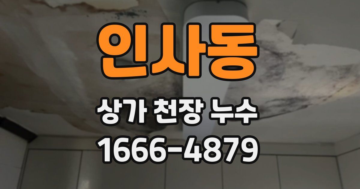 인사동 상가 천장 누수