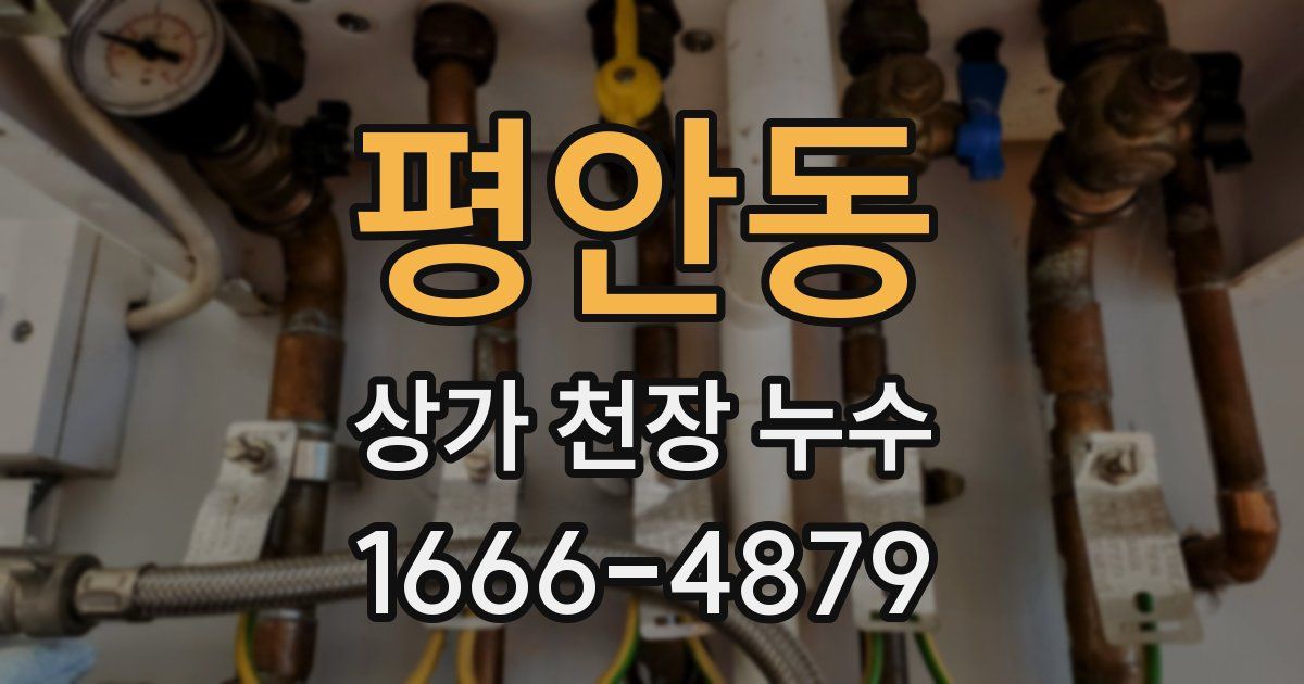 평안동 상가 천장 누수