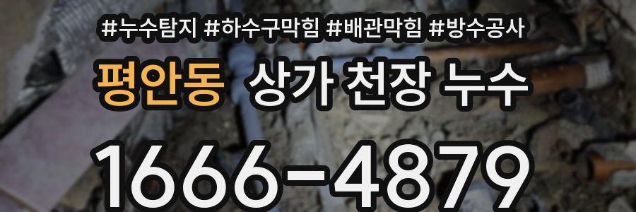 평안동 상가 천장 누수