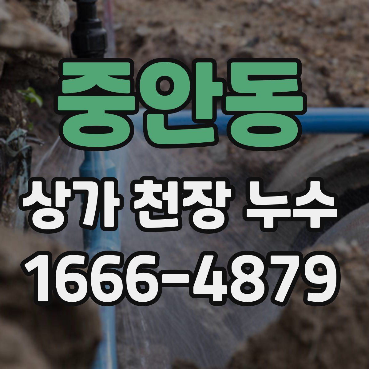 중안동 상가 천장 누수
