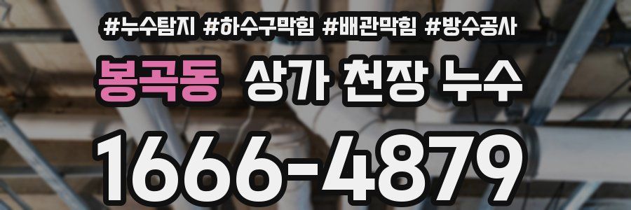 봉곡동 상가 천장 누수