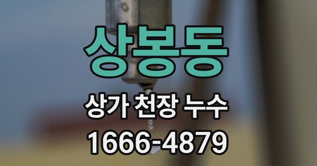 상봉동 상가 천장 누수