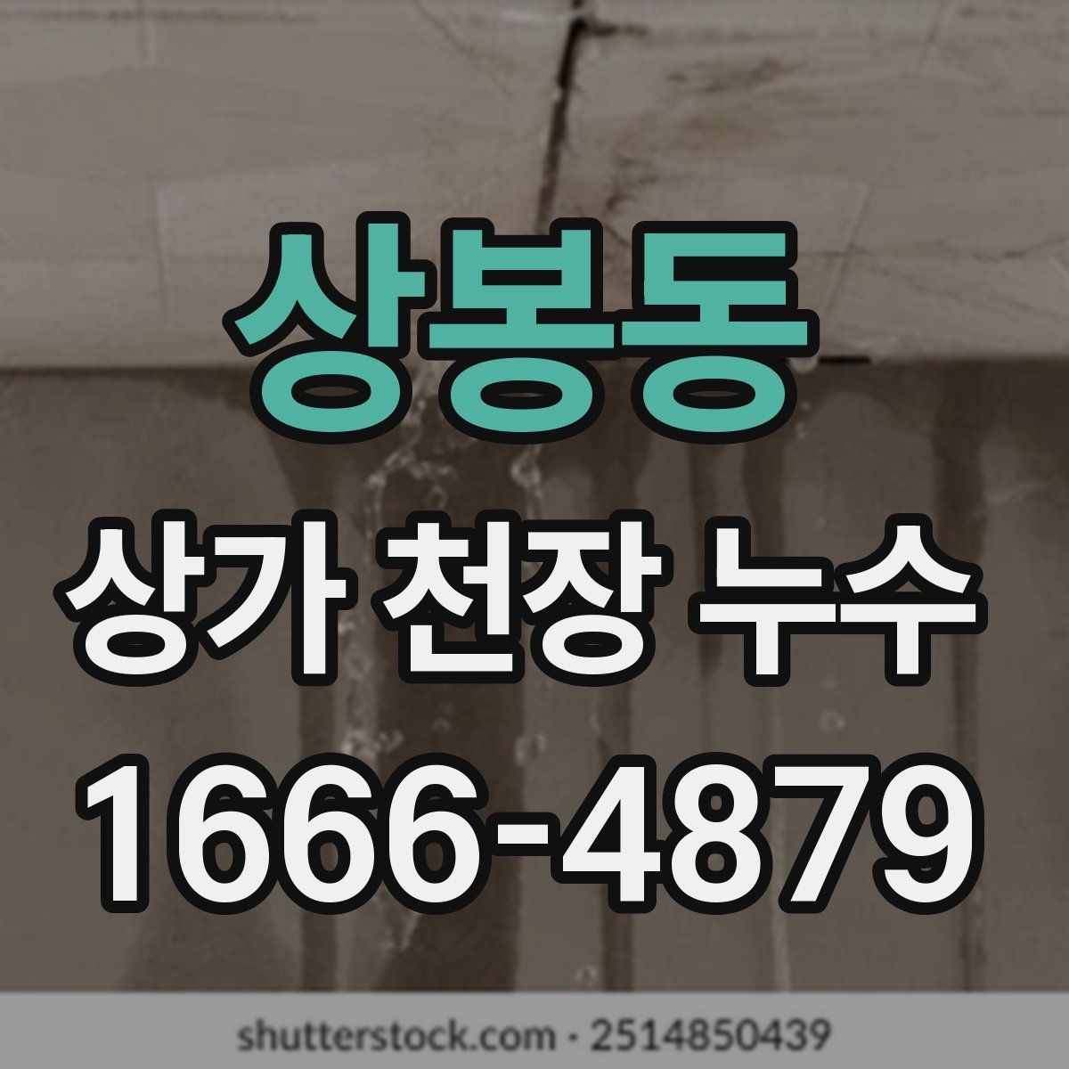 상봉동 상가 천장 누수