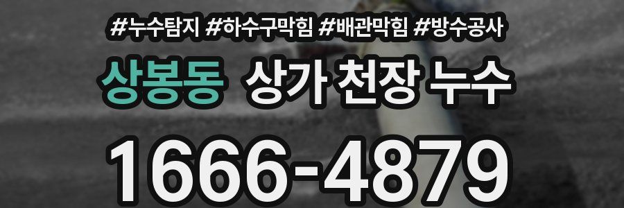 상봉동 상가 천장 누수