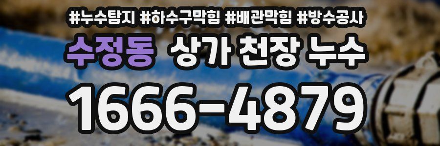 수정동 상가 천장 누수