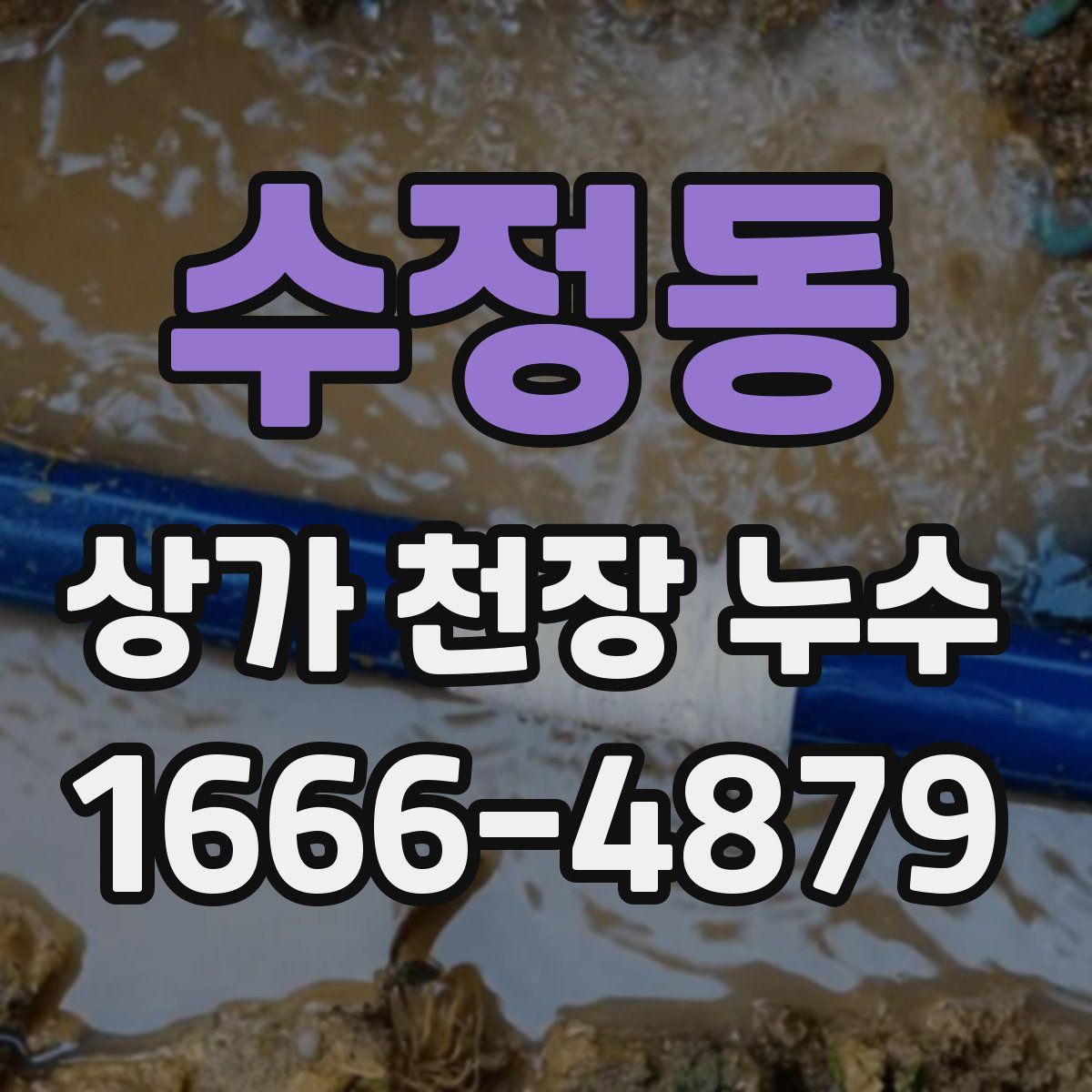 수정동 상가 천장 누수