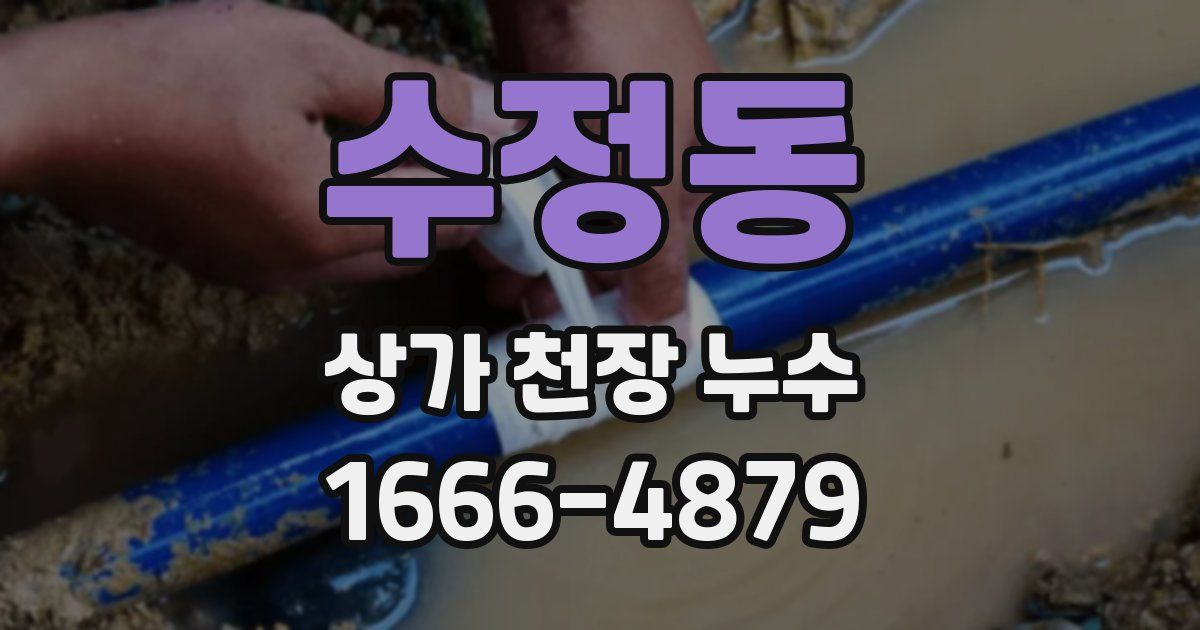 수정동 상가 천장 누수