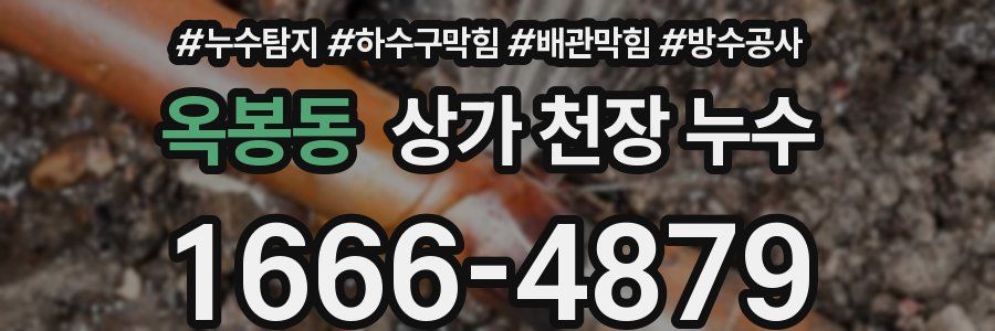 옥봉동 상가 천장 누수