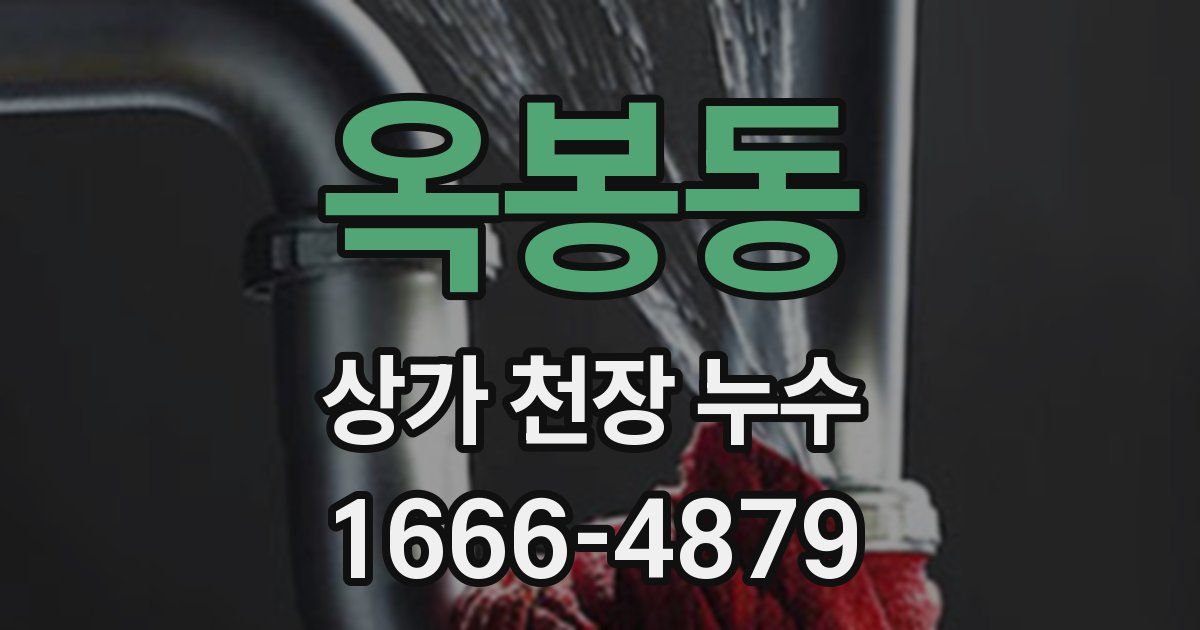 옥봉동 상가 천장 누수