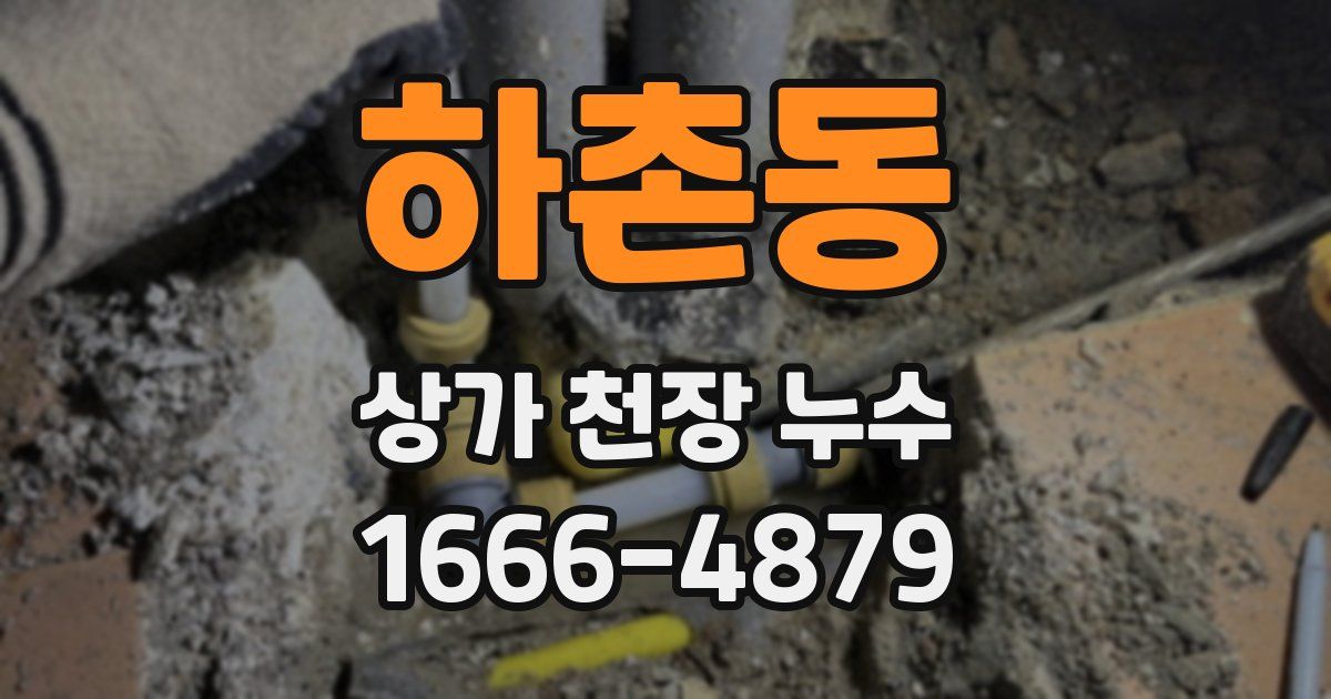 하촌동 상가 천장 누수