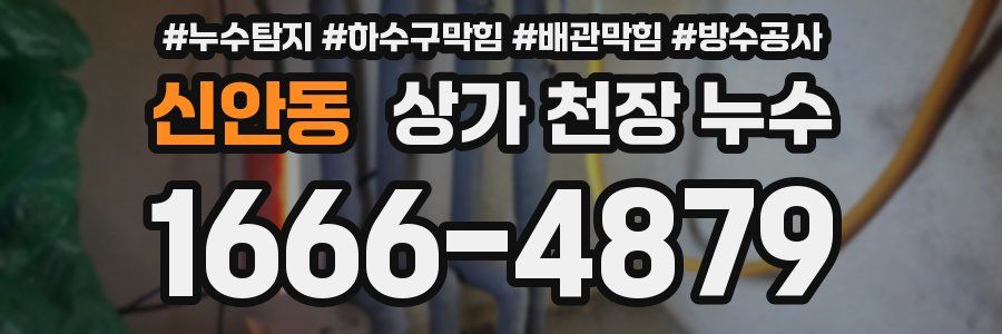 신안동 상가 천장 누수