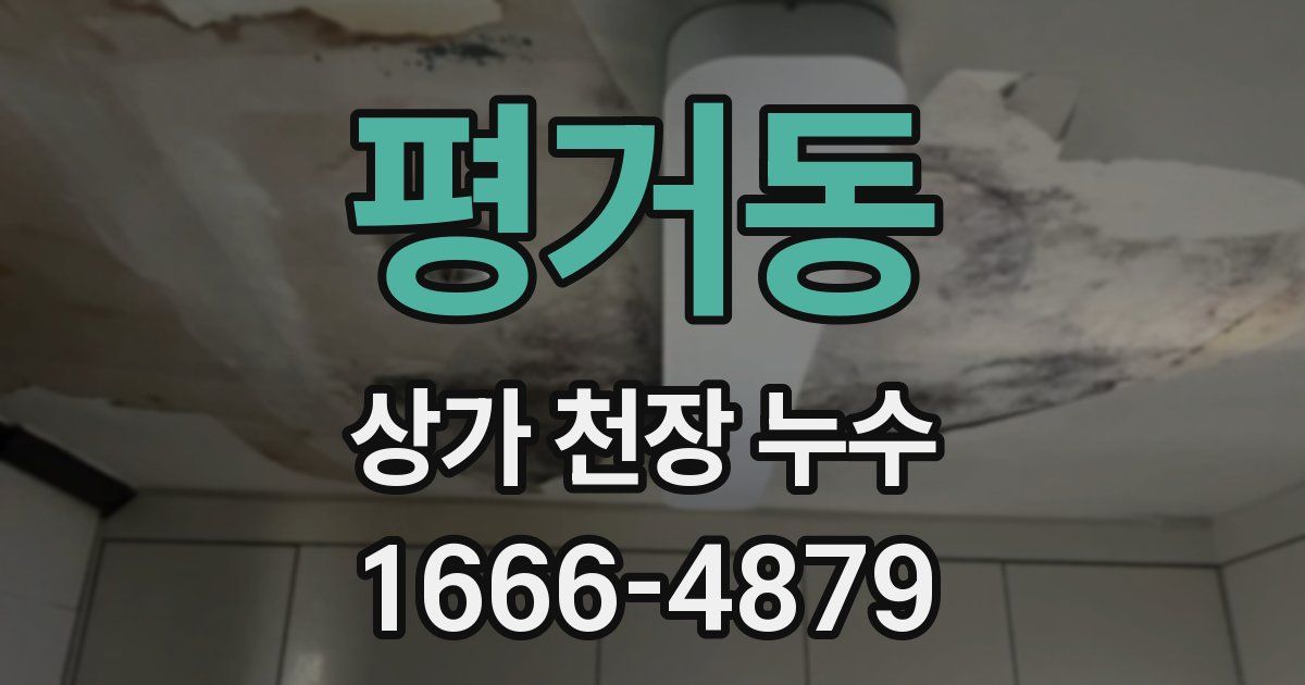 평거동 상가 천장 누수