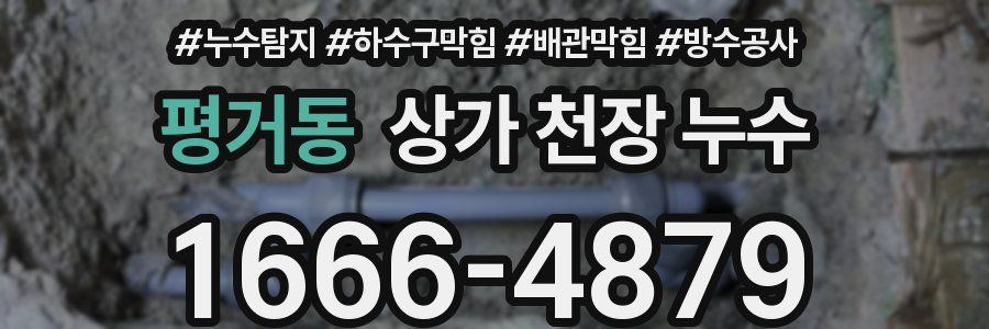 평거동 상가 천장 누수