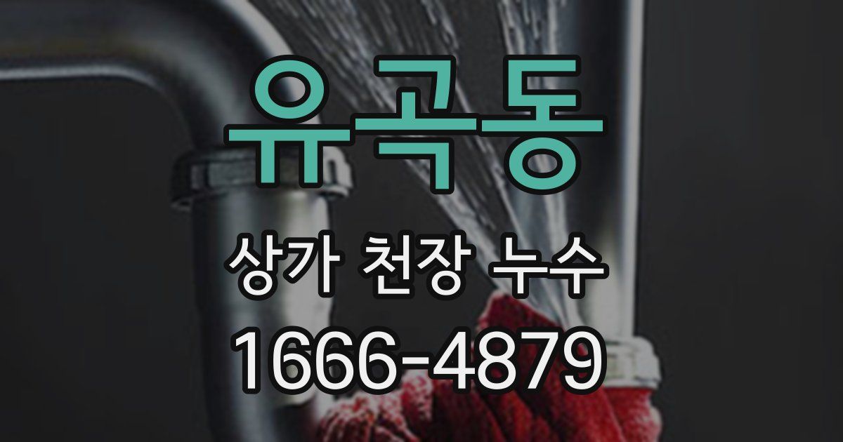 유곡동 상가 천장 누수