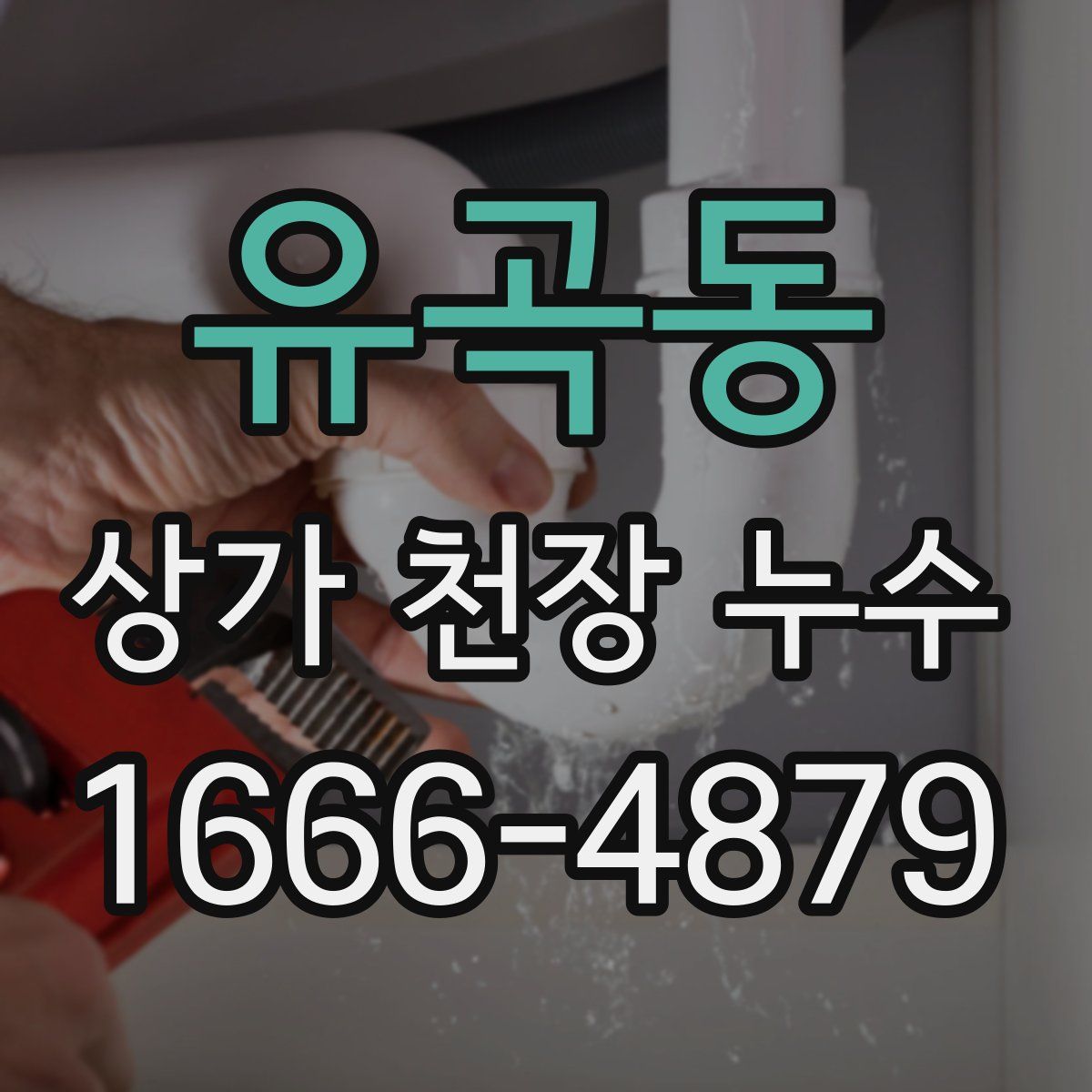 유곡동 상가 천장 누수