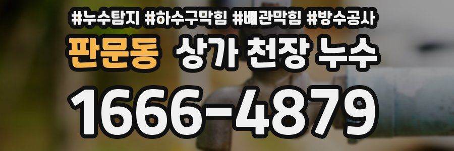 판문동 상가 천장 누수