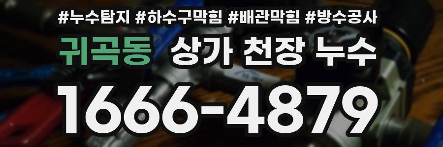 귀곡동 상가 천장 누수