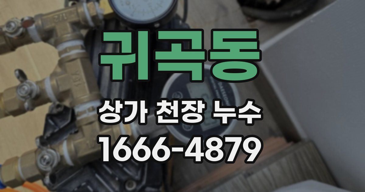 귀곡동 상가 천장 누수