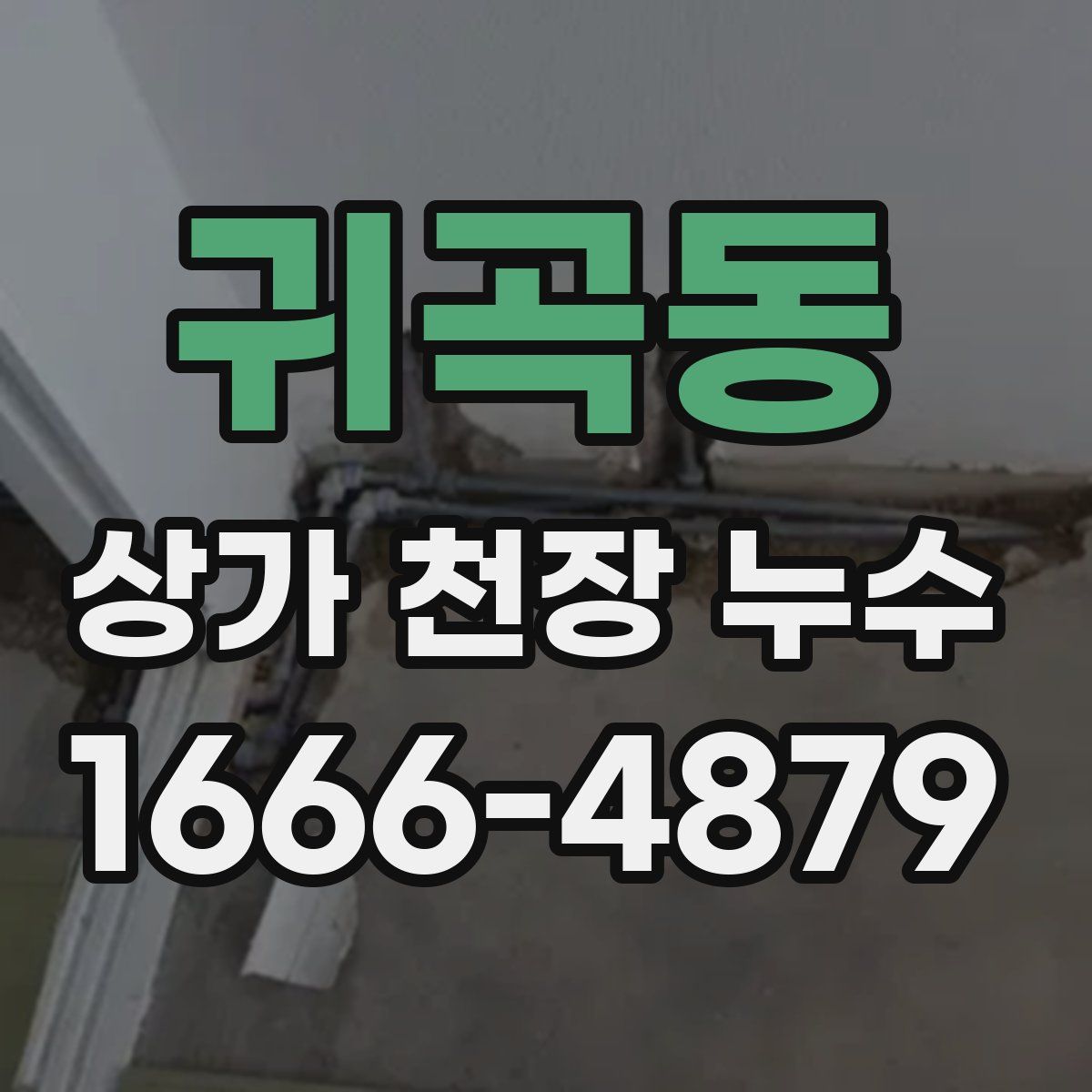 귀곡동 상가 천장 누수