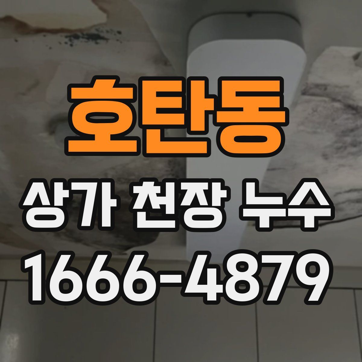 호탄동 상가 천장 누수