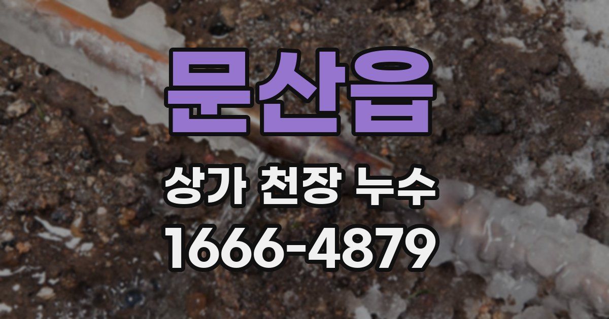 문산읍 상가 천장 누수