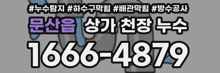 문산읍 상가 천장 누수