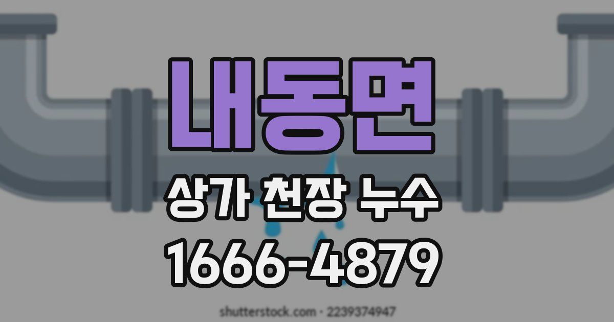 내동면 상가 천장 누수