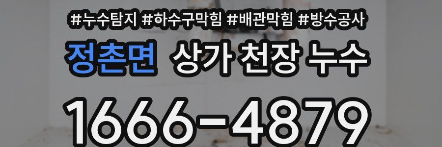 정촌면 상가 천장 누수