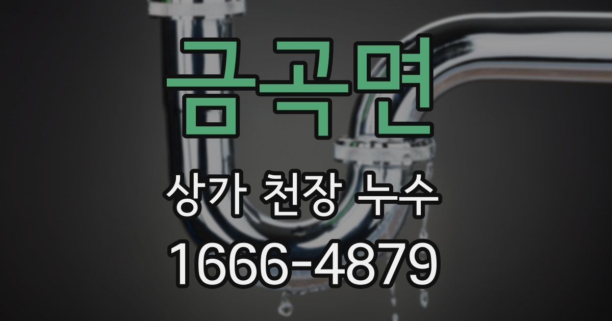 금곡면 상가 천장 누수