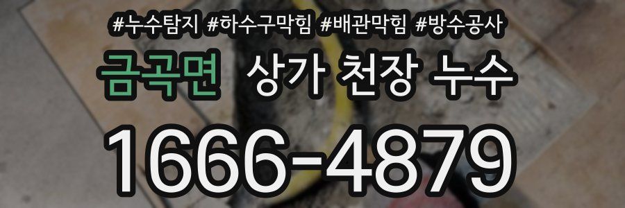 금곡면 상가 천장 누수