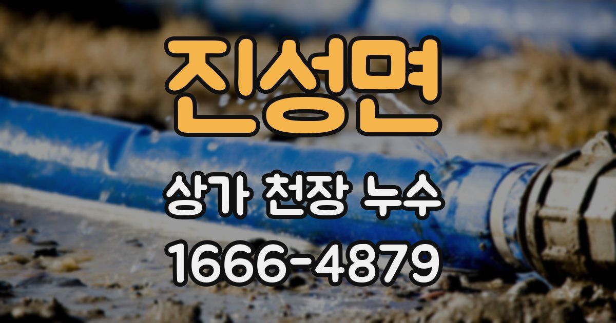 진성면 상가 천장 누수