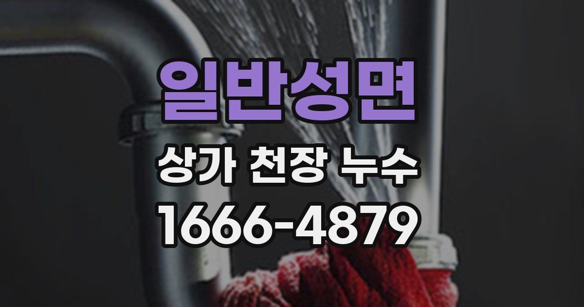 일반성면 상가 천장 누수