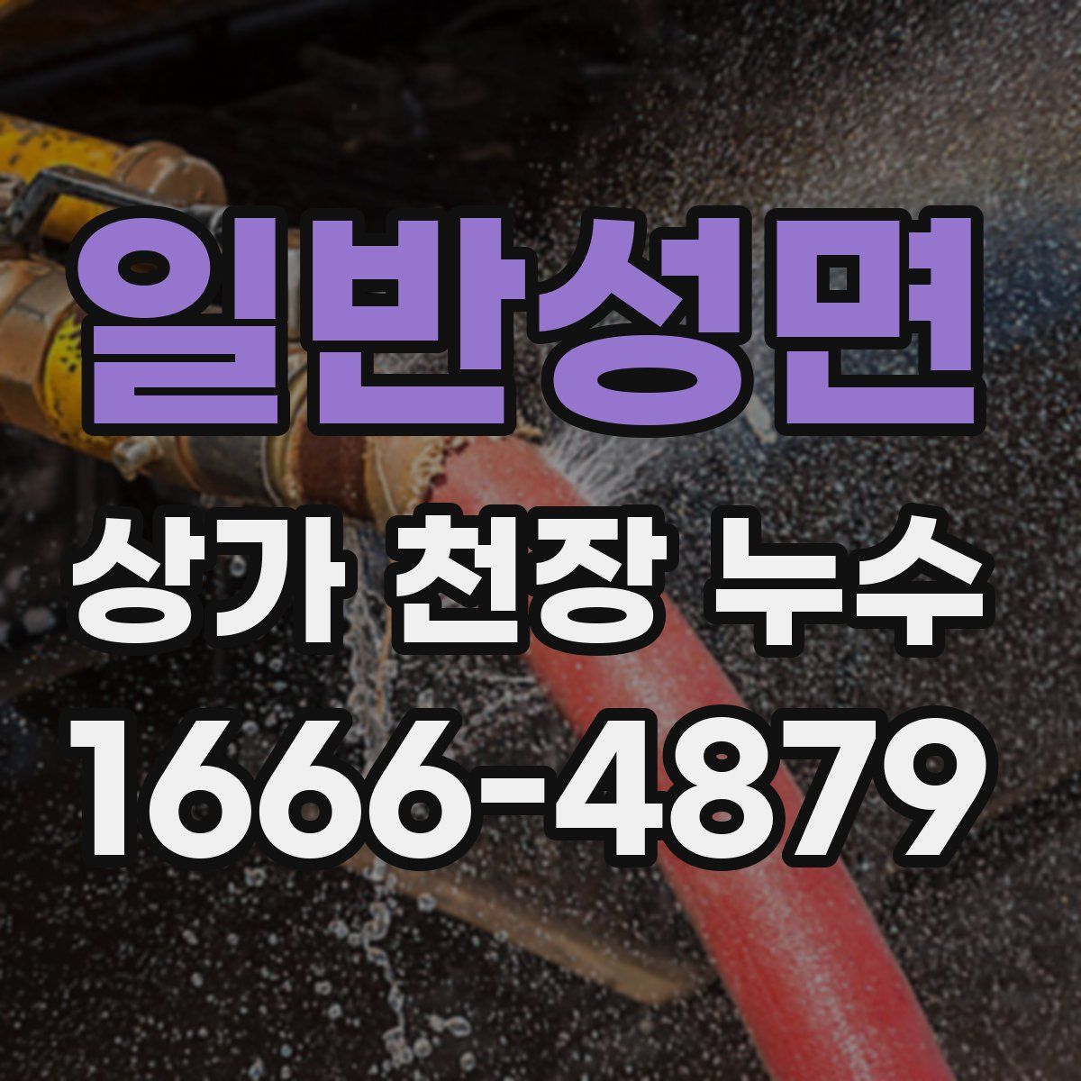 일반성면 상가 천장 누수