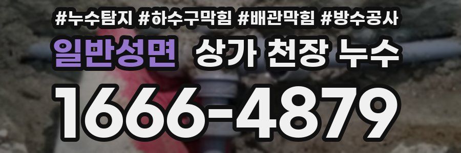 일반성면 상가 천장 누수