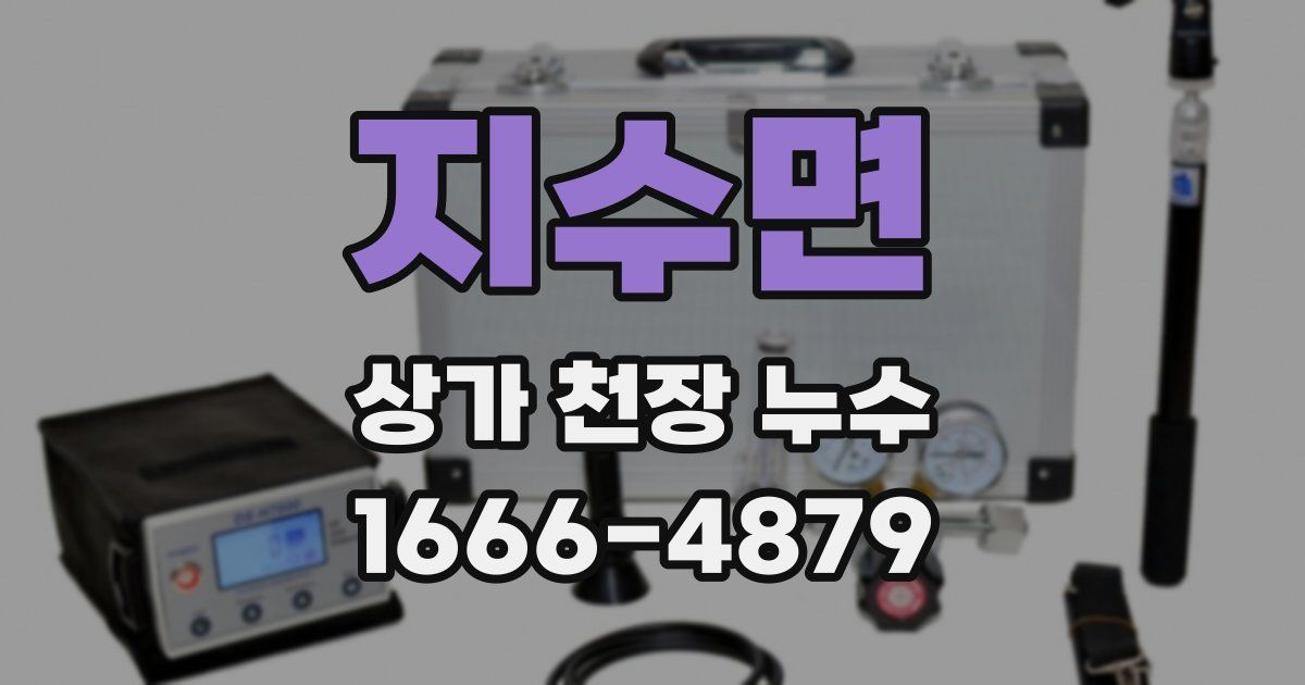 지수면 상가 천장 누수