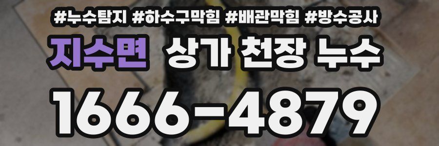 지수면 상가 천장 누수