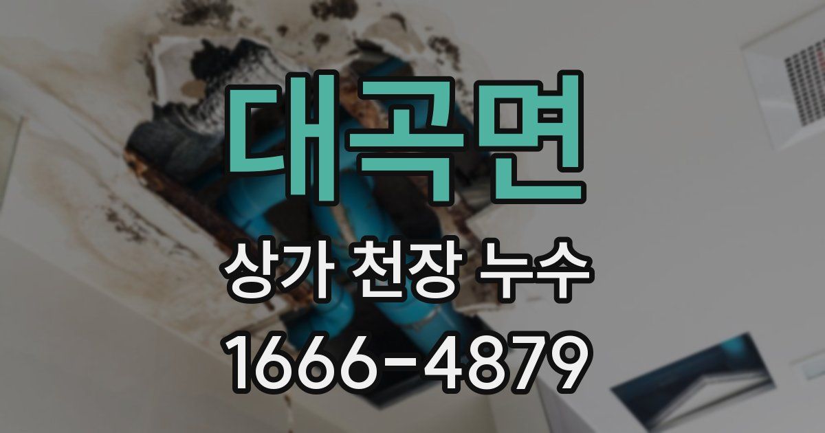 대곡면 상가 천장 누수