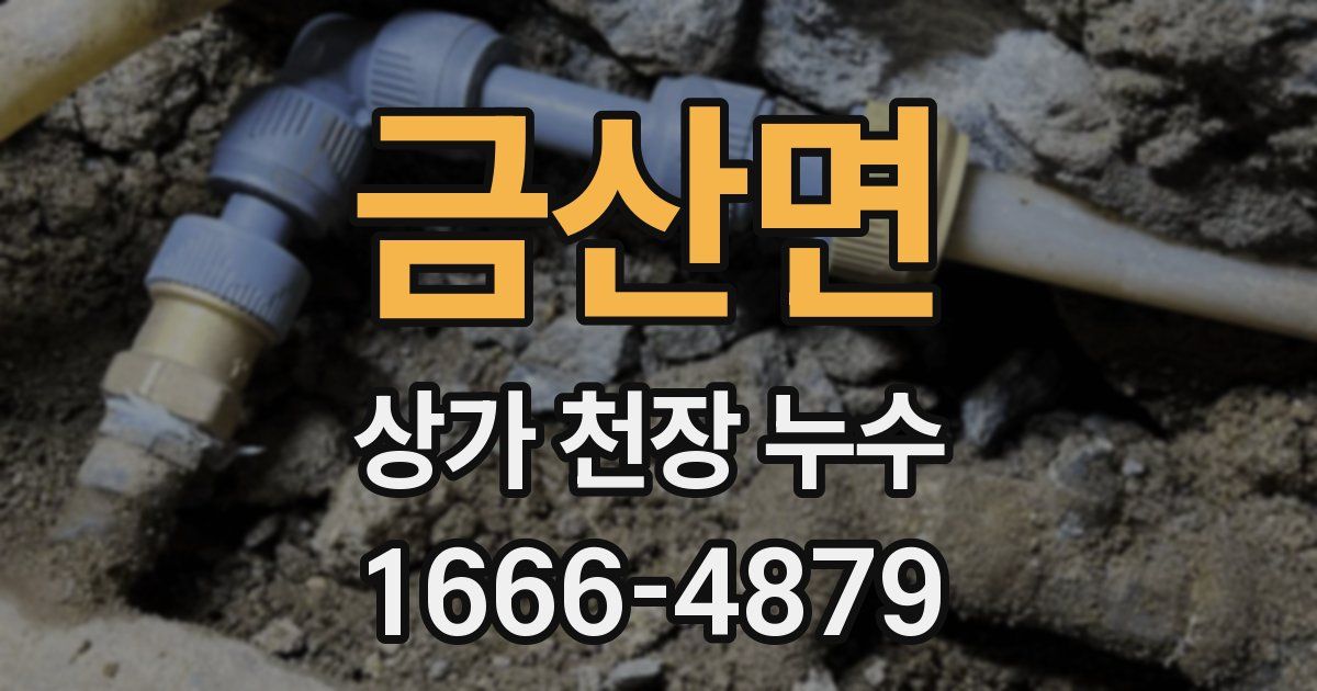 금산면 상가 천장 누수