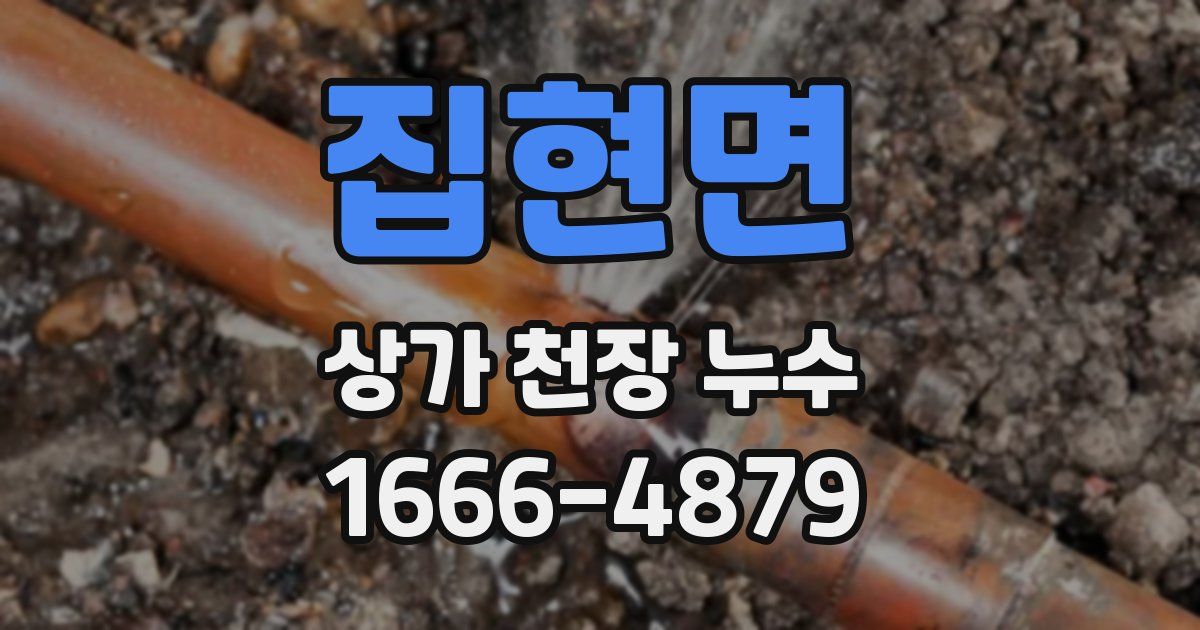 집현면 상가 천장 누수