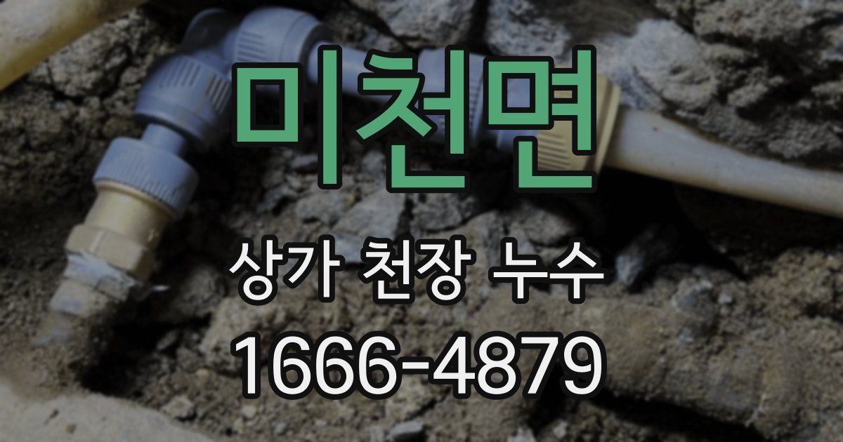 미천면 상가 천장 누수