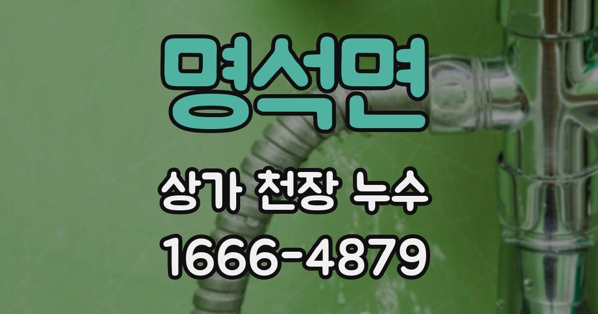 명석면 상가 천장 누수