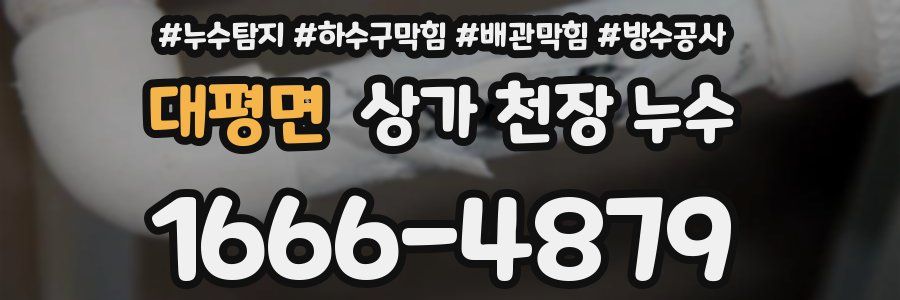 대평면 상가 천장 누수