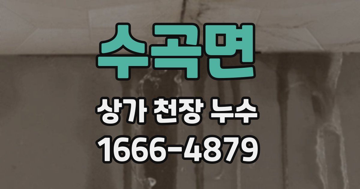 수곡면 상가 천장 누수