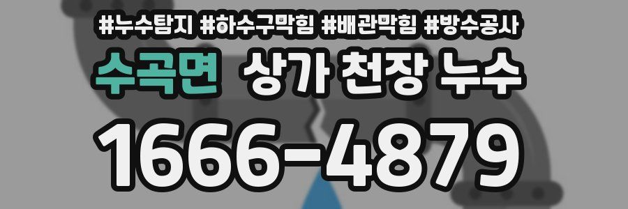 수곡면 상가 천장 누수