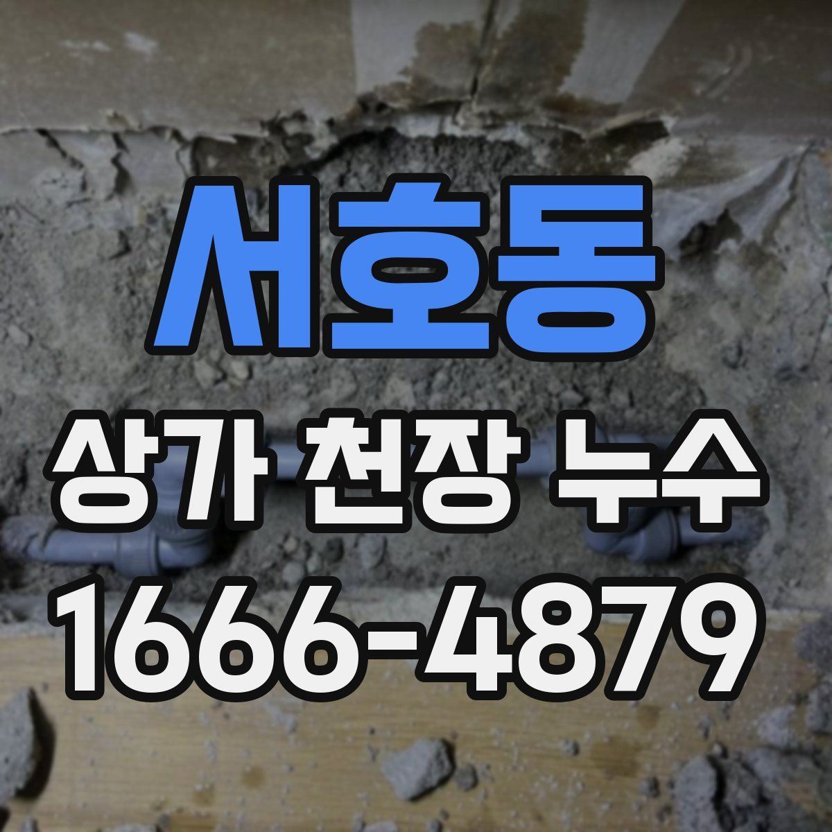 서호동 상가 천장 누수